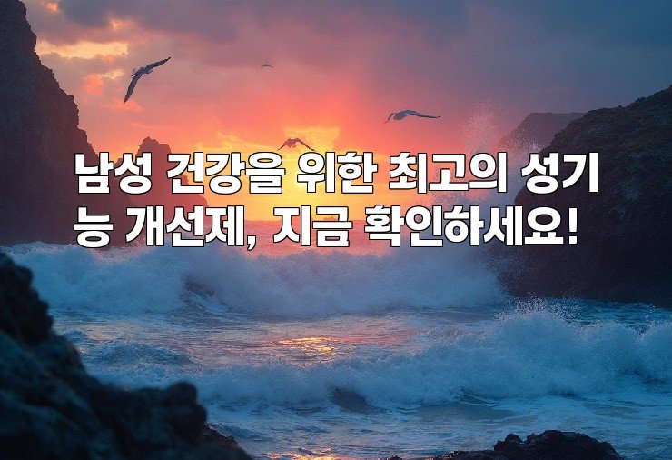 남성 건강을 위한 최고의 성기능 개선제, 지금 확인하세요!