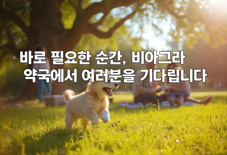바로 필요한 순간, 비아그라 약국에서 여러분을 기다립니다
