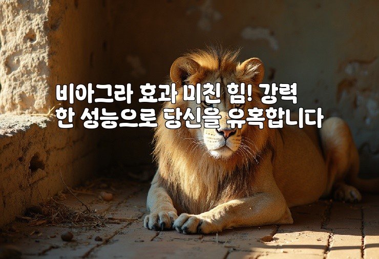 비아그라 효과 미친 힘! 강력한 성능으로 당신을 유혹합니다