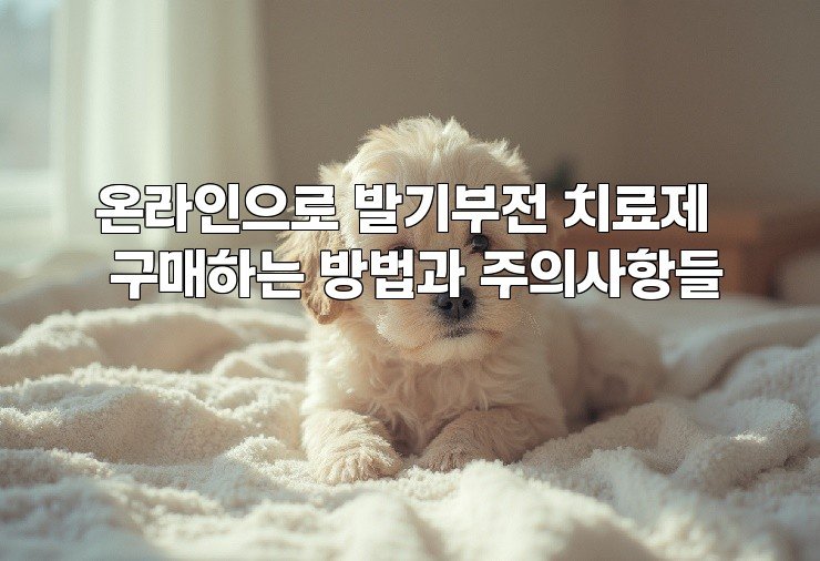 온라인으로 발기부전 치료제 구매하는 방법과 주의사항들