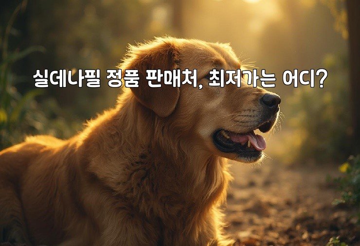 실데나필 정품 판매처, 최저가는 어디?