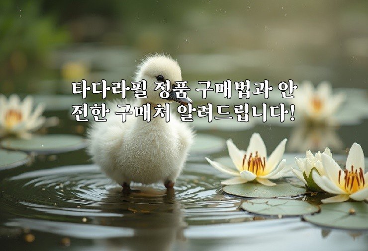 타다라필 정품 구매법과 안전한 구매처 알려드립니다!
