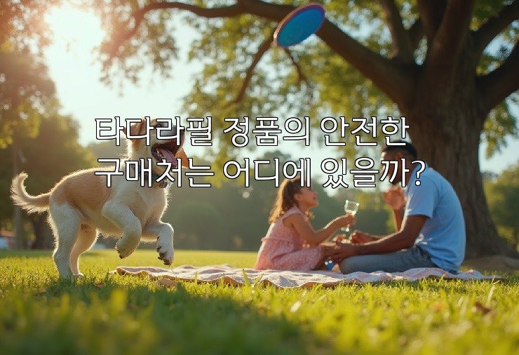타다라필 정품의 안전한 구매처는 어디에 있을까?
