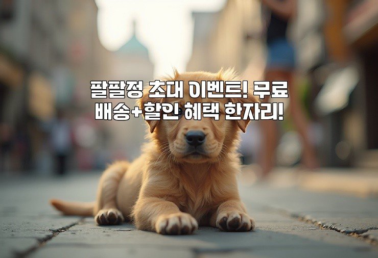 팔팔정 초대 이벤트! 무료 배송+할인 혜택 한자리!