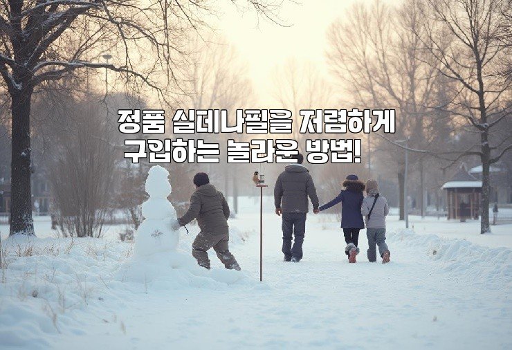 정품 실데나필을 저렴하게 구입하는 놀라운 방법!