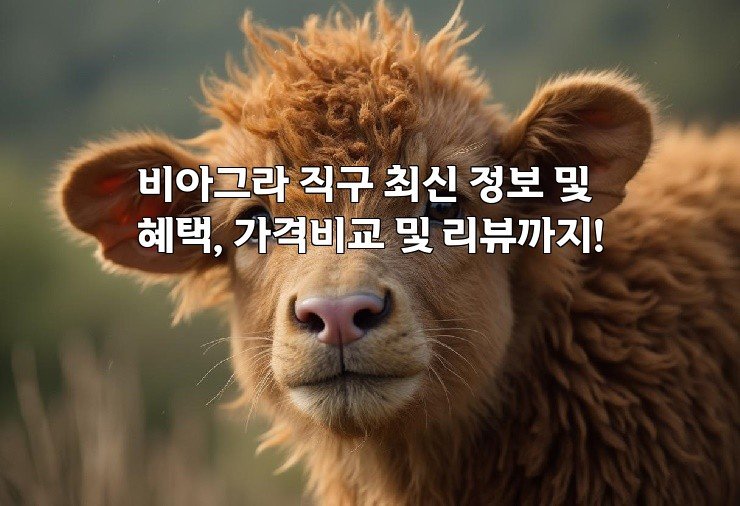 비아그라 직구 최신 정보 및 혜택, 가격비교 및 리뷰까지!