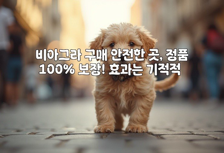 비아그라 구매 안전한 곳, 정품 100% 보장! 효과는 기적적