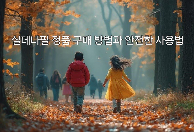 실데나필 정품 구매 방법과 안전한 사용법