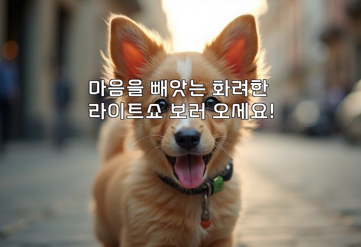 마음을 빼앗는 화려한 라이트쇼 보러 오세요!
