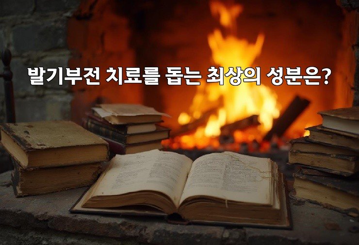 발기부전 치료를 돕는 최상의 성분은?
