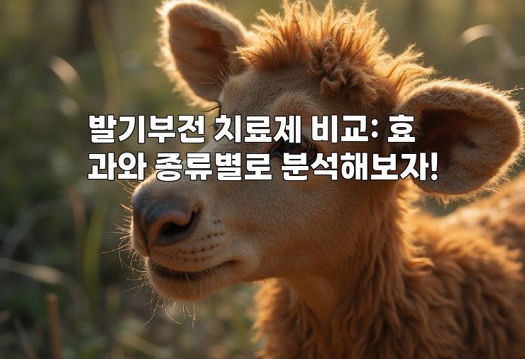 발기부전 치료제 비교: 효과와 종류별로 분석해보자!
