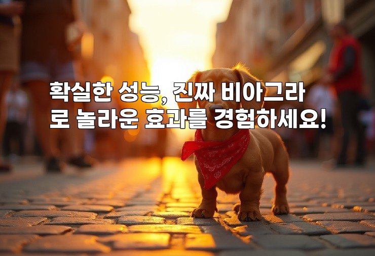 확실한 성능, 진짜 비아그라로 놀라운 효과를 경험하세요!