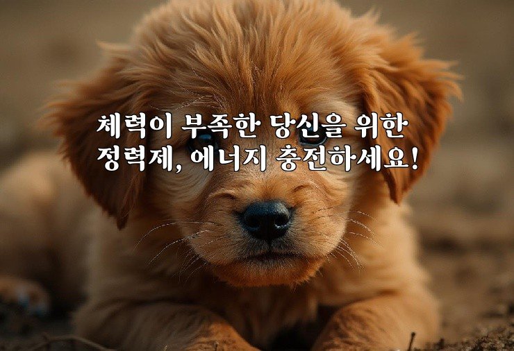 체력이 부족한 당신을 위한 정력제, 에너지 충전하세요!