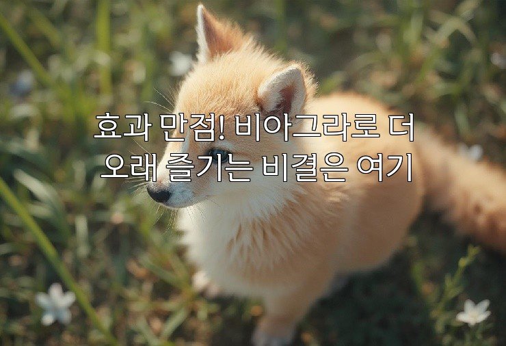 효과 만점! 비아그라로 더 오래 즐기는 비결은 여기