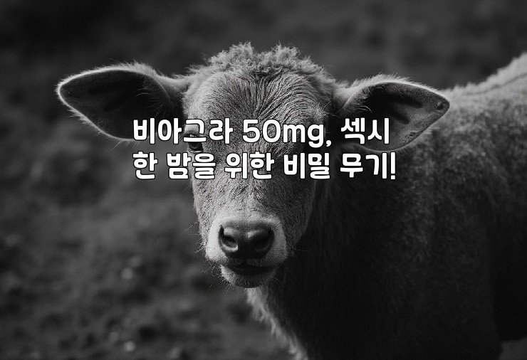 비아그라 50mg, 섹시한 밤을 위한 비밀 무기!