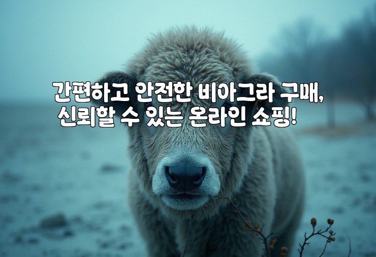 간편하고 안전한 비아그라 구매, 신뢰할 수 있는 온라인 쇼핑!