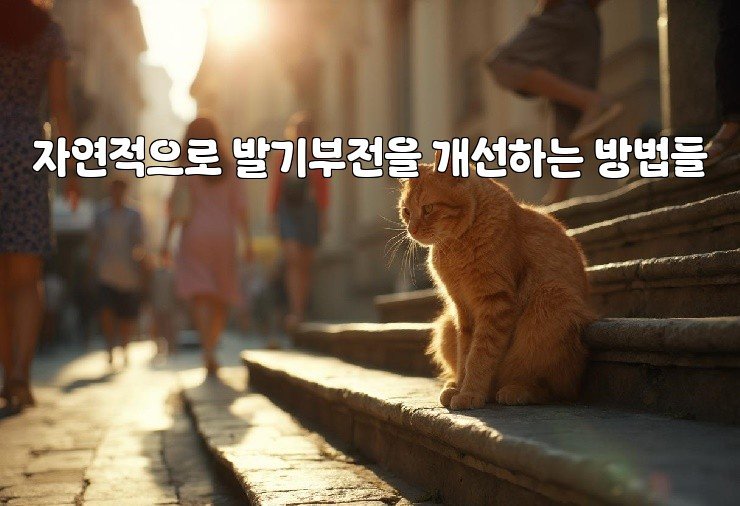 자연적으로 발기부전을 개선하는 방법들