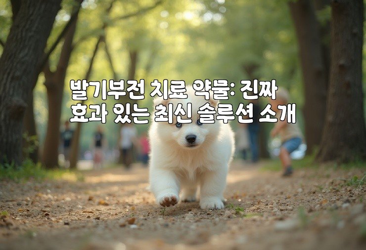 발기부전 치료 약물: 진짜 효과 있는 최신 솔루션 소개