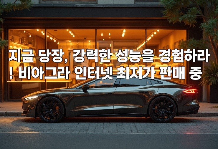 지금 당장, 강력한 성능을 경험하라! 비아그라 인터넷 최저가 판매 중