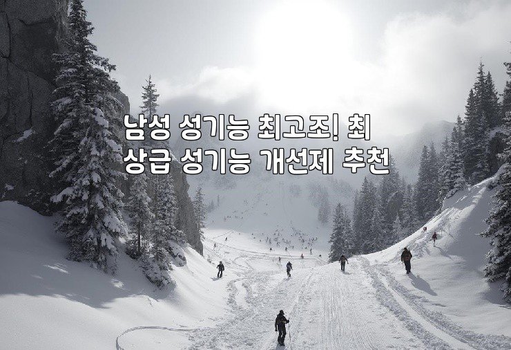 남성 성기능 최고조! 최상급 성기능 개선제 추천