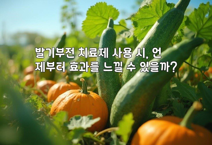 발기부전 치료제 사용 시, 언제부터 효과를 느낄 수 있을까?