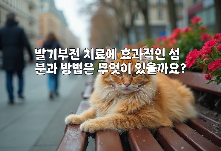 발기부전 치료에 효과적인 성분과 방법은 무엇이 있을까요?