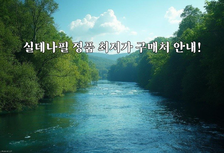 실데나필 정품 최저가 구매처 안내!