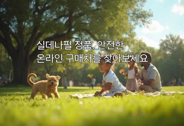 실데나필 정품, 안전한 온라인 구매처를 찾아보세요