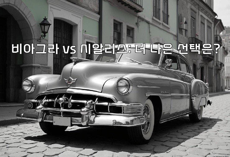 비아그라 vs 시알리스: 더 나은 선택은?