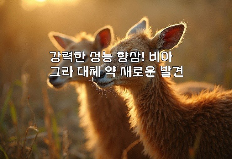 강력한 성능 향상! 비아그라 대체 약 새로운 발견