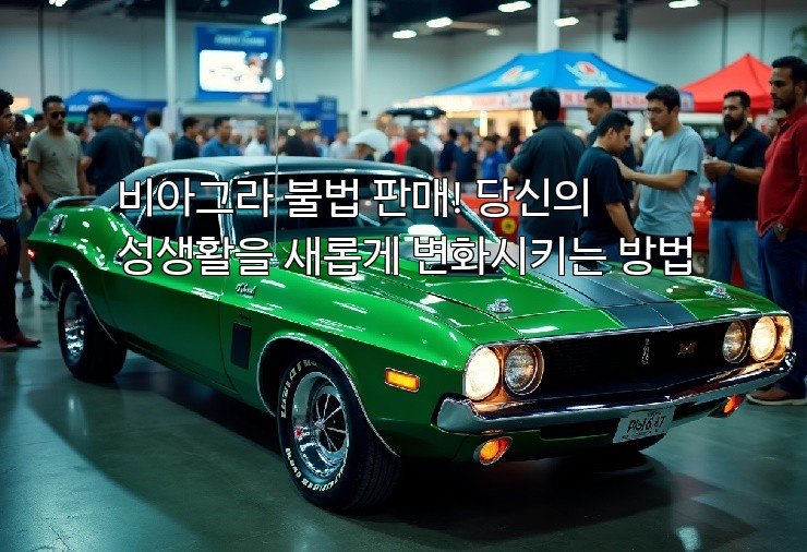 비아그라 불법 판매! 당신의 성생활을 새롭게 변화시키는 방법