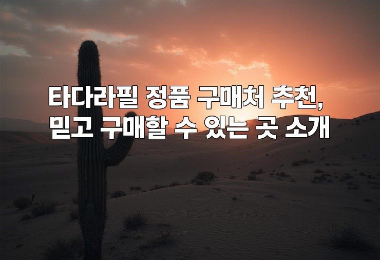 타다라필 정품 구매처 추천, 믿고 구매할 수 있는 곳 소개