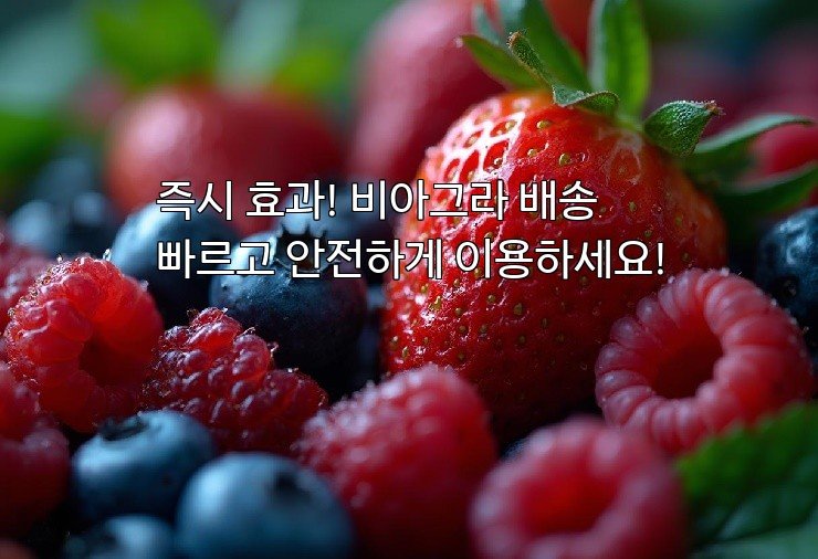 즉시 효과! 비아그라 배송 빠르고 안전하게 이용하세요!