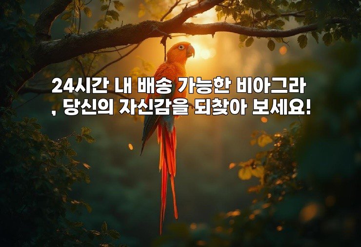 24시간 내 배송 가능한 비아그라, 당신의 자신감을 되찾아 보세요!