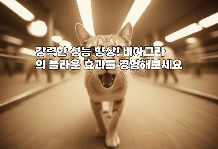 강력한 성능 향상! 비아그라의 놀라운 효과를 경험해보세요