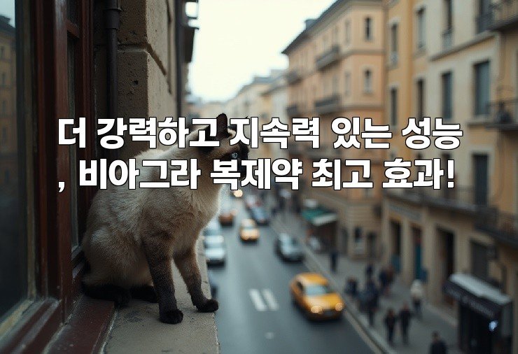 더 강력하고 지속력 있는 성능, 비아그라 복제약 최고 효과!
