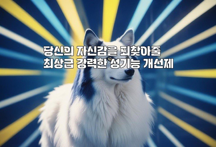 당신의 자신감을 되찾아줄 최상급 강력한 성기능 개선제