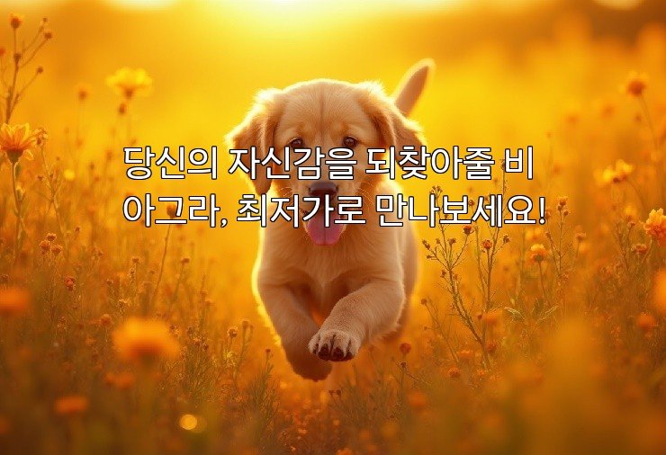 당신의 자신감을 되찾아줄 비아그라, 최저가로 만나보세요!