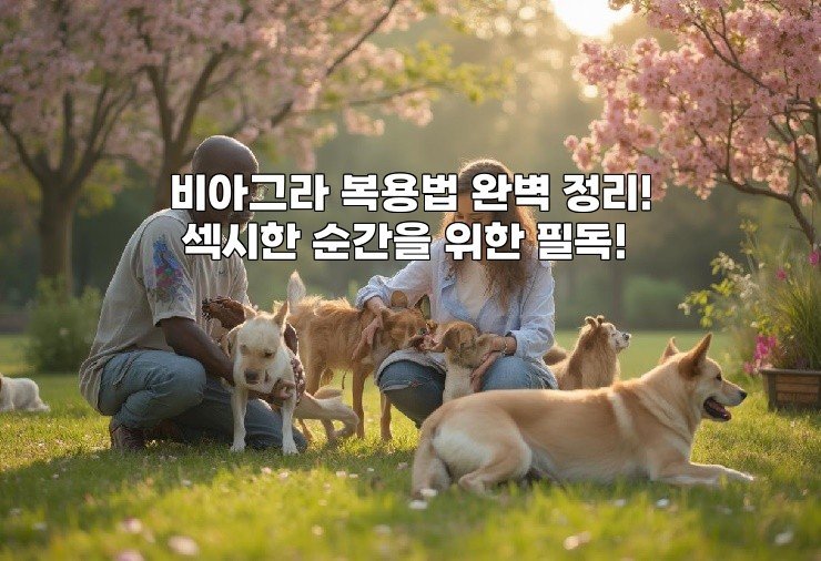 비아그라 복용법 완벽 정리! 섹시한 순간을 위한 필독!