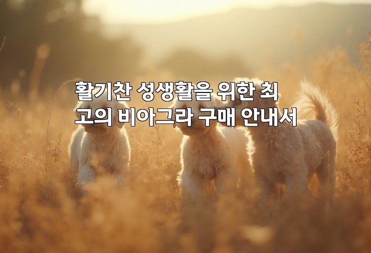 활기찬 성생활을 위한 최고의 비아그라 구매 안내서