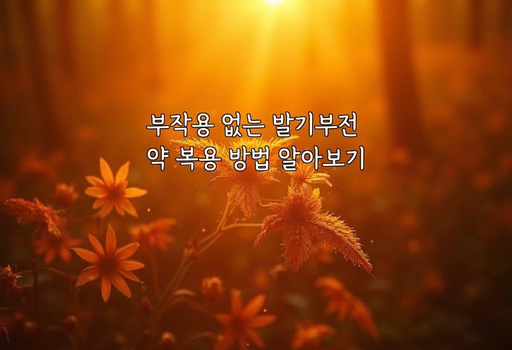 부작용 없는 발기부전 약 복용 방법 알아보기