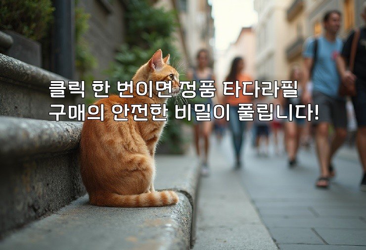 클릭 한 번이면 정품 타다라필 구매의 안전한 비밀이 풀립니다!